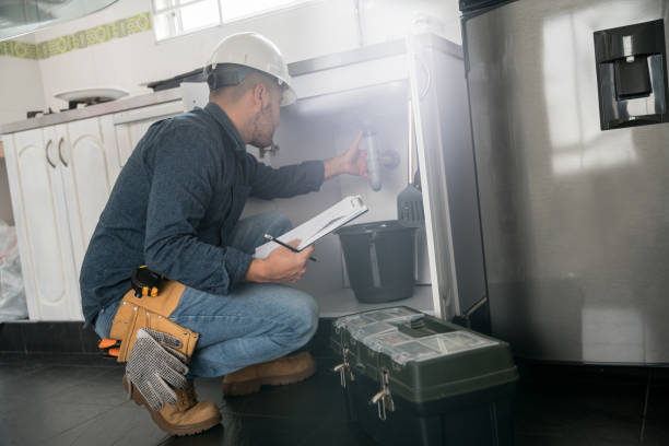 Best Plumbing Services Near Me  in Momence, IL