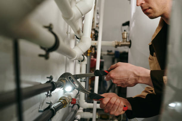 Best Plumbing Repair Near Me  in Momence, IL