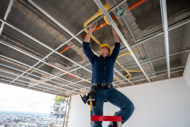Best Affordable Plumber Near Me  in Momence, IL