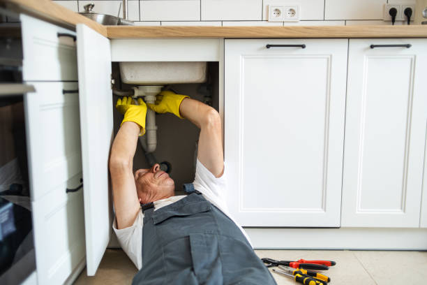 Best Drain Cleaning Services  in Momence, IL