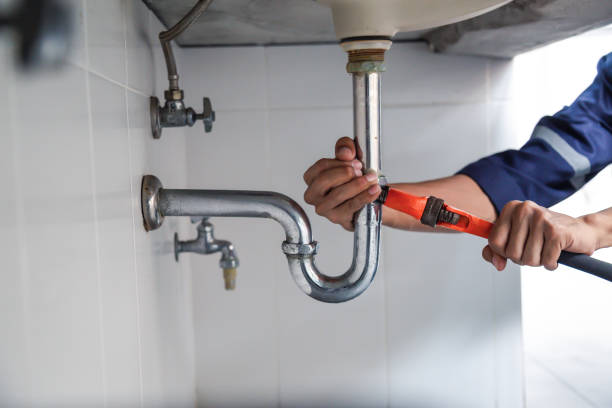 Best Shower Repair Services  in Momence, IL