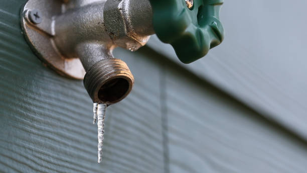 Momence, IL Plumbing Company