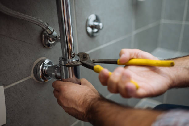 Best Commercial Plumbing Services  in Momence, IL