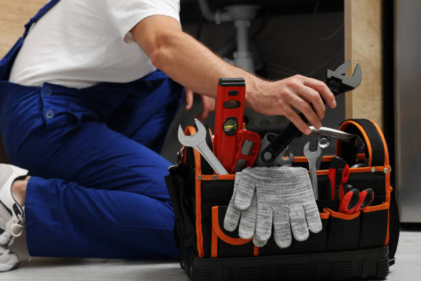 Best Same-Day Plumbing Service  in Momence, IL