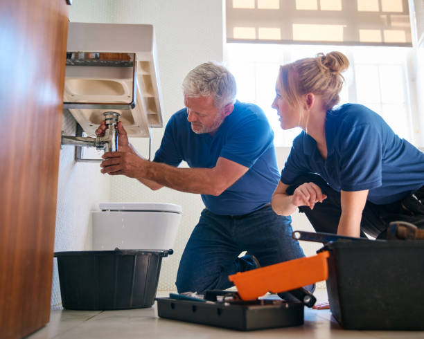 Best Sewer Line Replacement  in Momence, IL